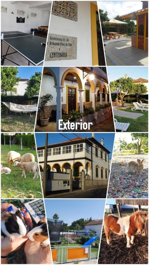 Centenaria Oiã Exteriér fotografie