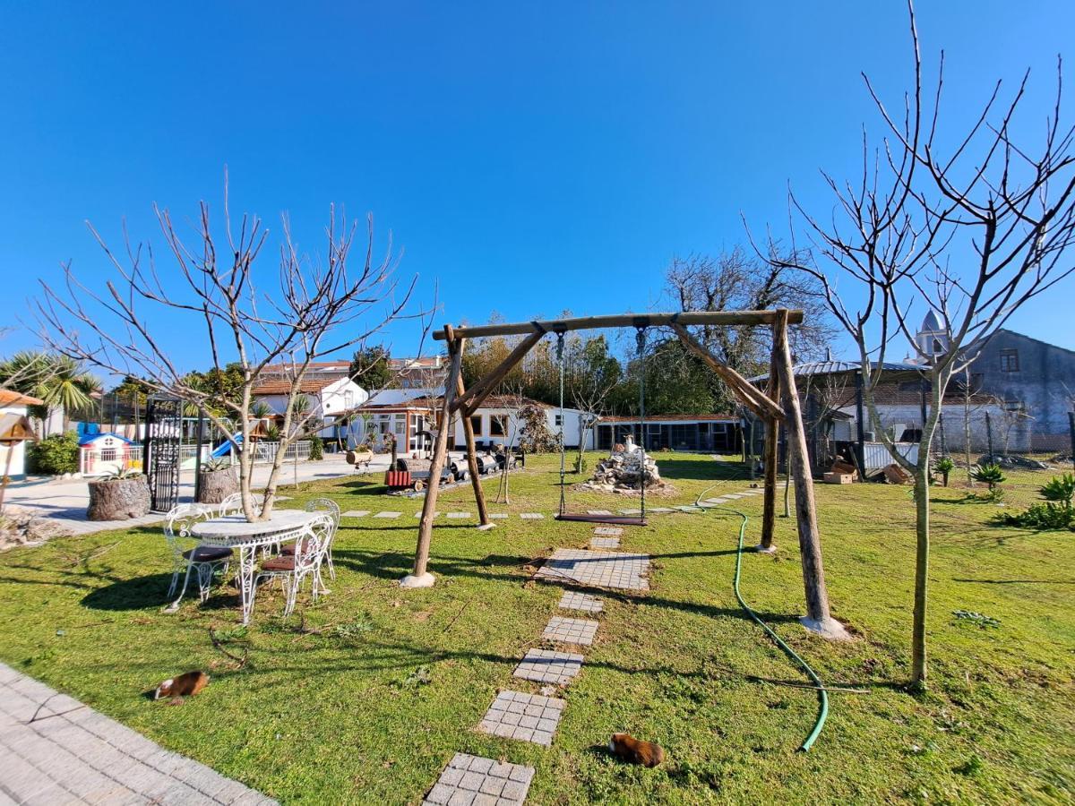 Centenaria Oiã Exteriér fotografie